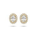 Kasius 14K Geelgouden Oorknoppen Zirkonia Halo 4025291
