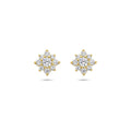 Kasius 14K Geelgouden Oorknoppen Zirkonia Rozet 4027984