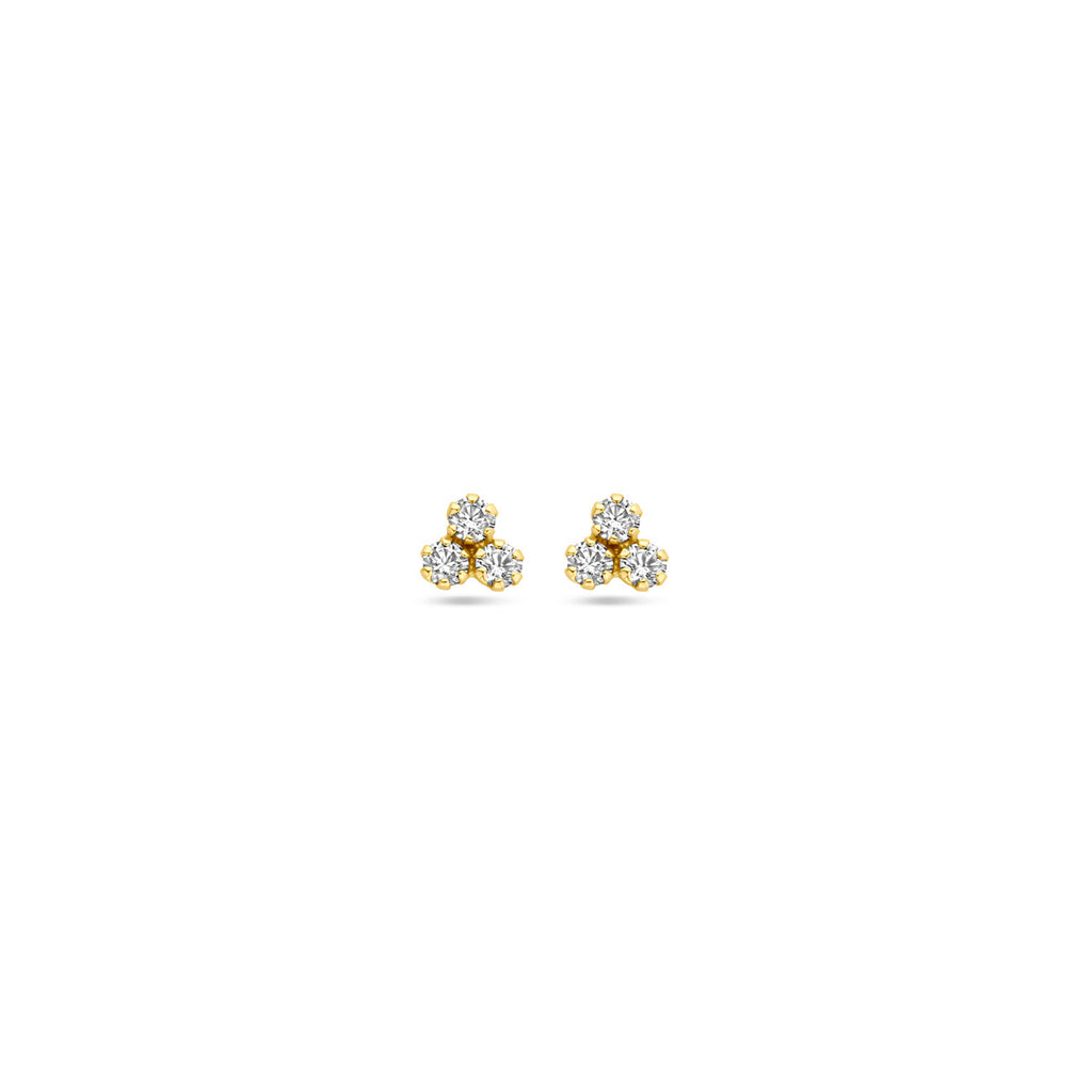 Kasius 14K Geelgouden Oorknoppen met Zirkonia 4,5 mm 4033220