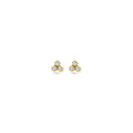 Kasius 14K Geelgouden Oorknoppen met Zirkonia 4,5 mm 4033220