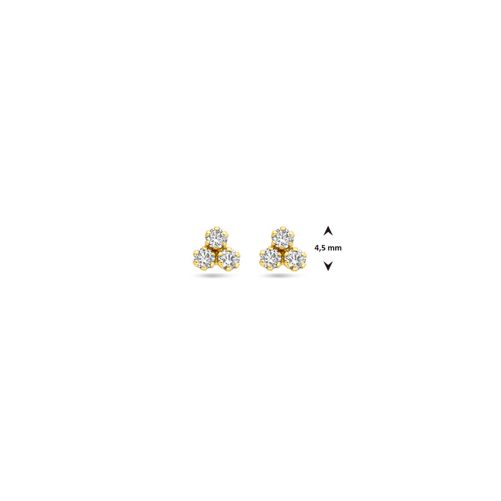 Kasius 14K Geelgouden Oorknoppen met Zirkonia 4,5 mm 4033220 - aanzicht 4