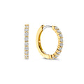 TI SENTO Oorbellen Verguld 7958ZY