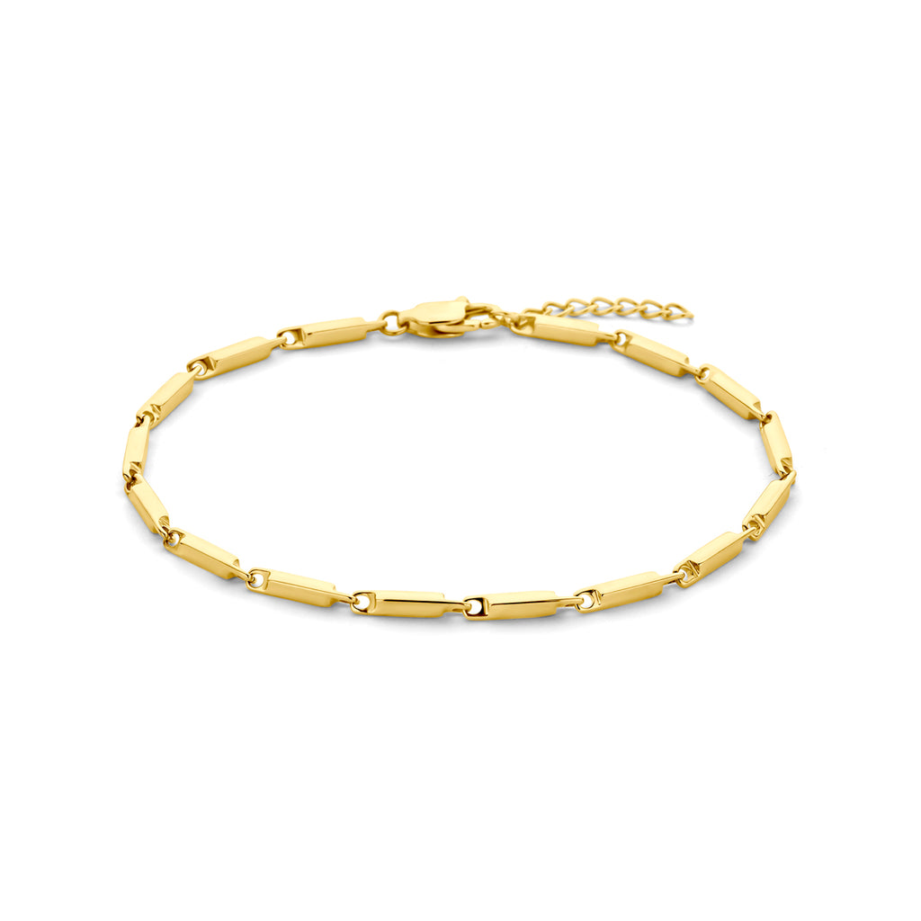Armband ion plating 2.5 mm 19 + 2 cm