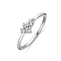 Ring zirkonia