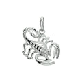 Sterrenbeeld hanger/bedel unisex