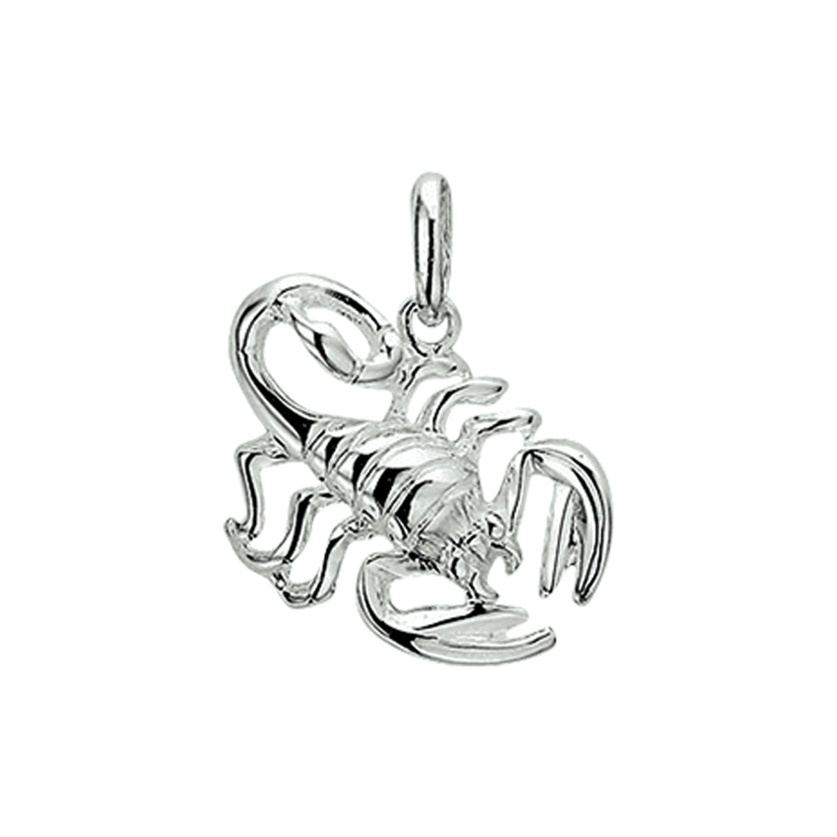 Sterrenbeeld hanger/bedel unisex