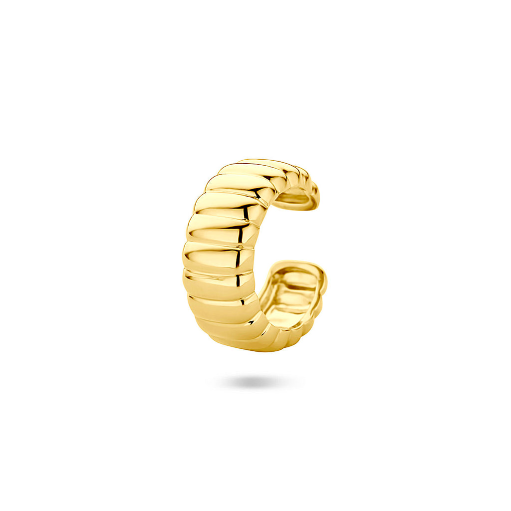 Goud geel op Zilver oorbellen diversen alternatief