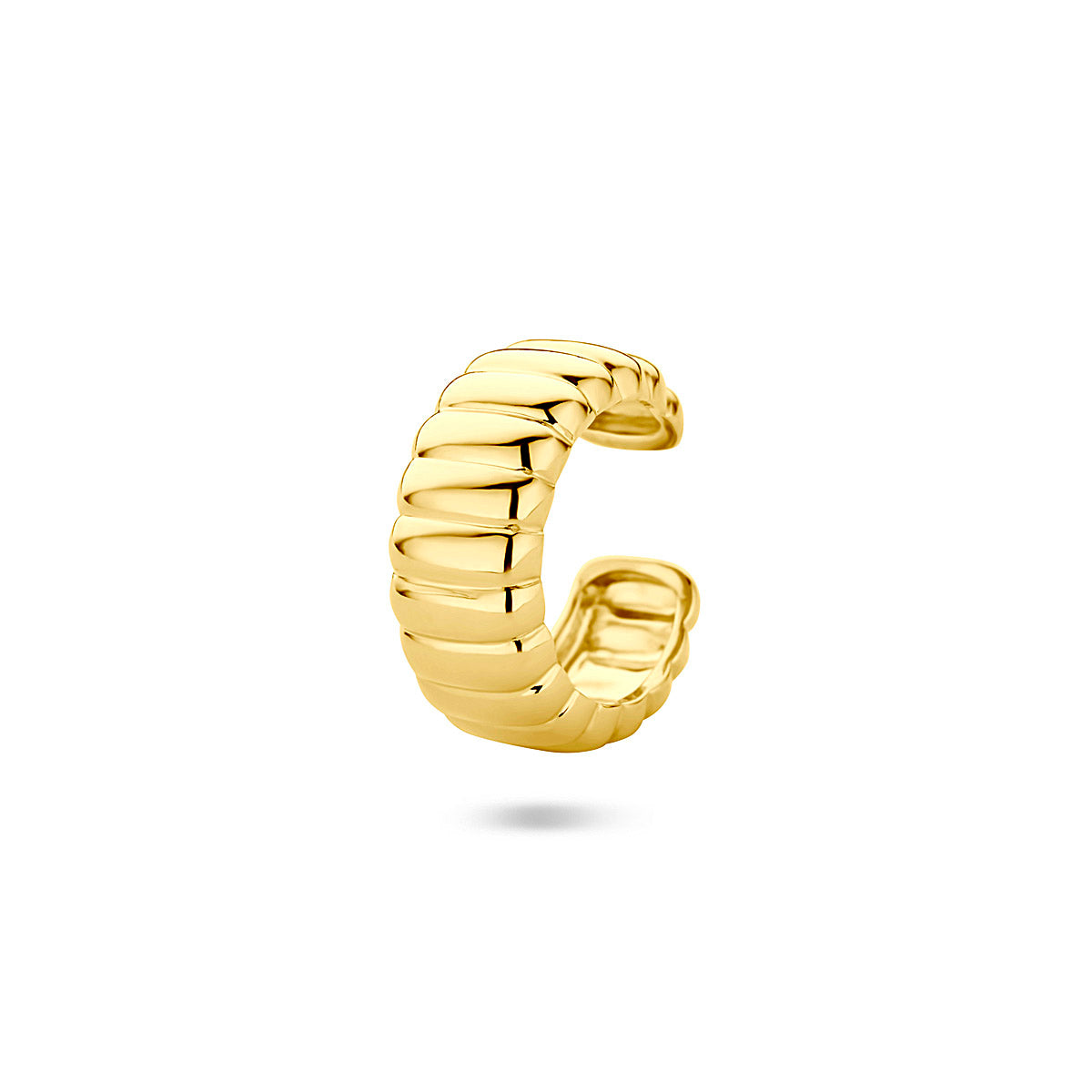 Goud geel op Zilver oorbellen diversen alternatief