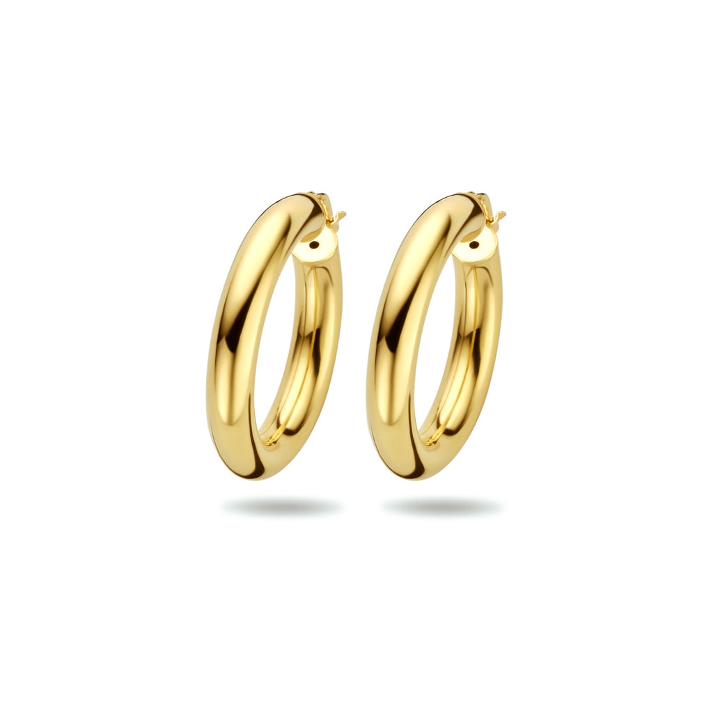 Oorringen ronde buis 5.0 mm 1 micron