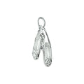 Bedel - zilver balletschoenen