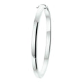 Bangle scharnier bolle buis 4 x 60 mm