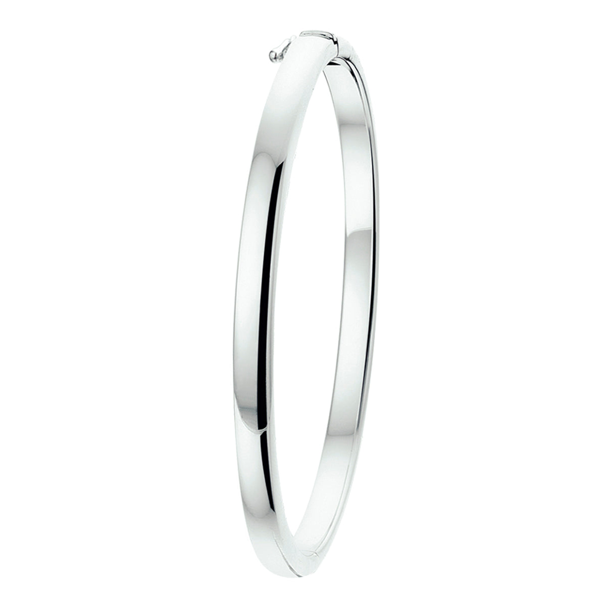 Bangle scharnier bolle buis 4 x 60 mm