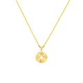 Collier rondje 41 + 4 cm