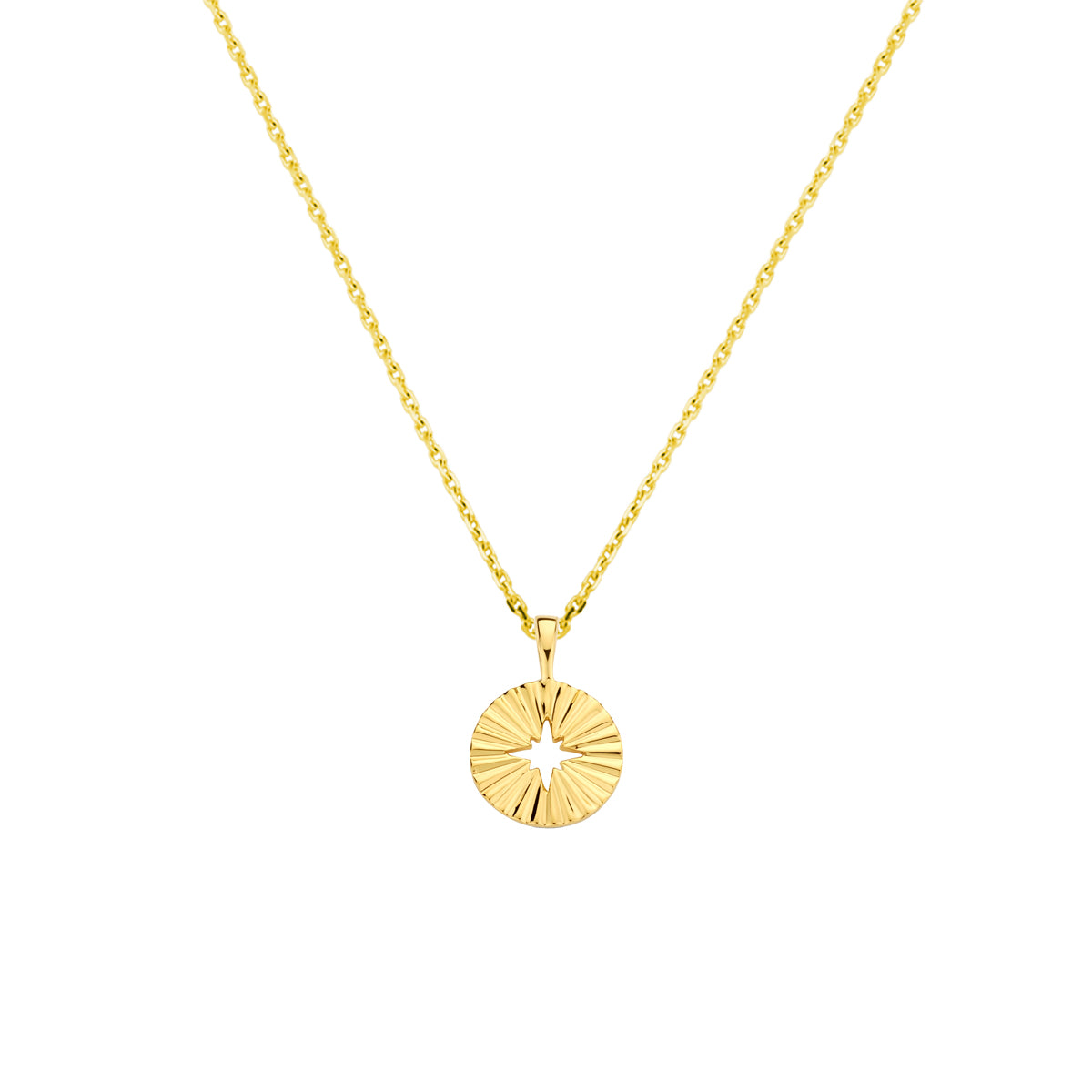 Collier rondje 41 + 4 cm