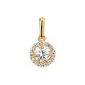 Hanger zirkonia halo