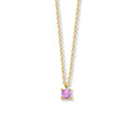 Collier met geboortesteen 40 - 42 - 44 cm