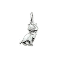 Hanger - zilver poes