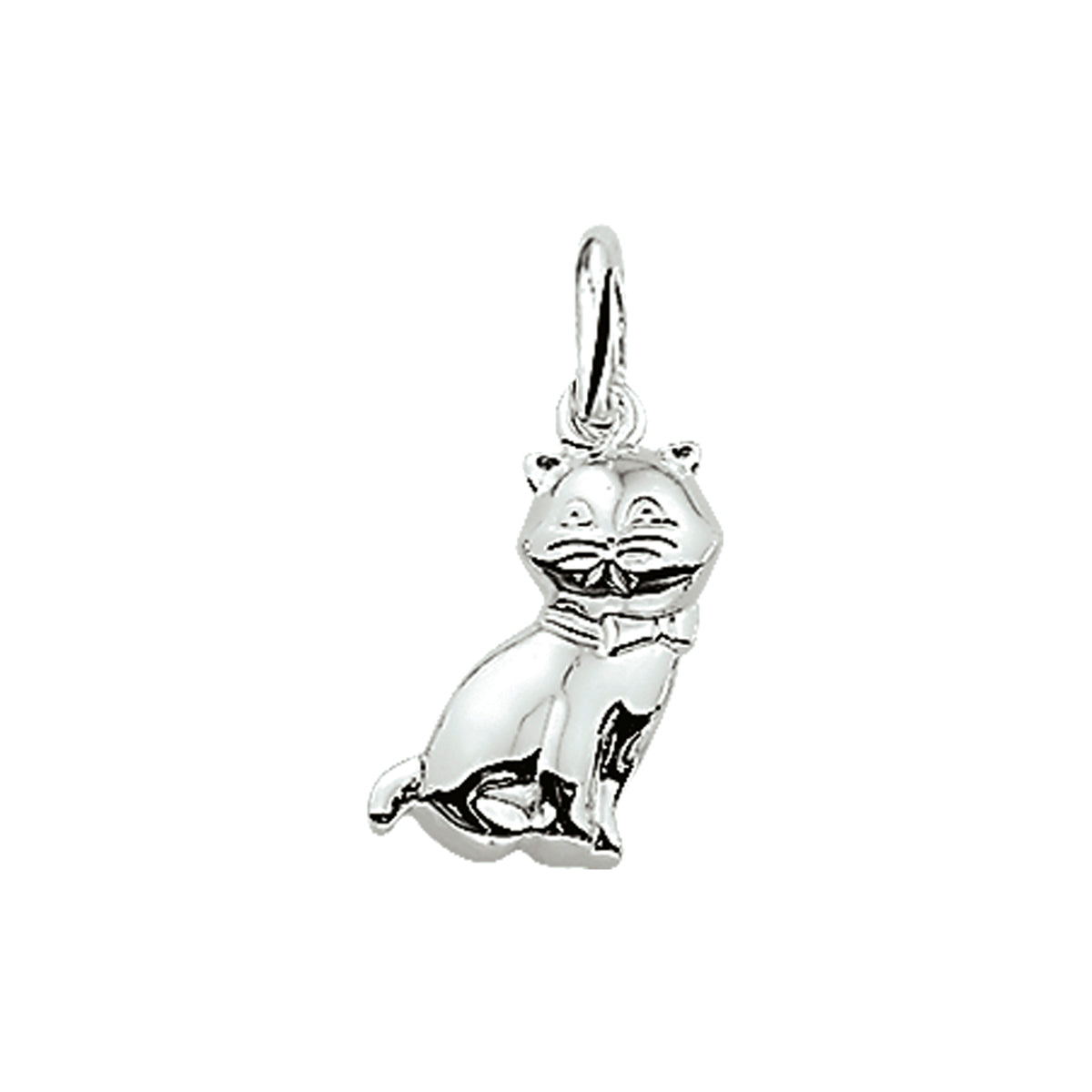 Hanger - zilver poes