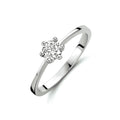 Ring zirkonia