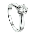 Ring zirkonia