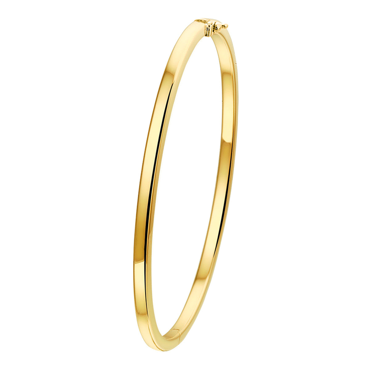 Bangle scharnier vlakke buis 3.0 mm