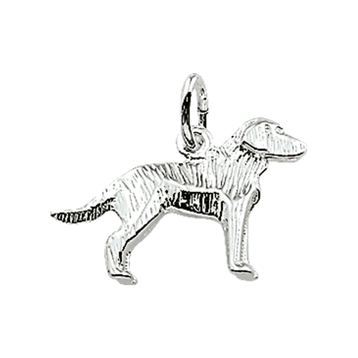 Hanger labrador