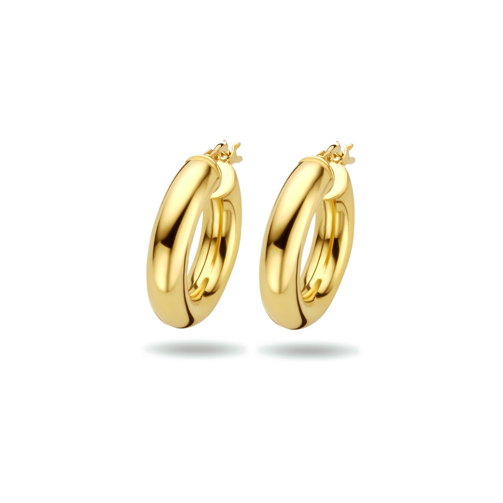 Oorringen ronde buis 5.0 mm 1 micron