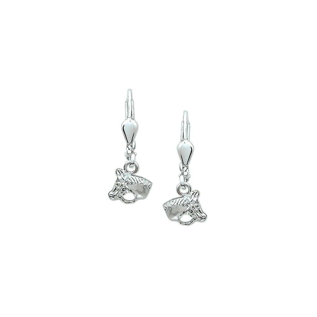 Zilver oorhangers