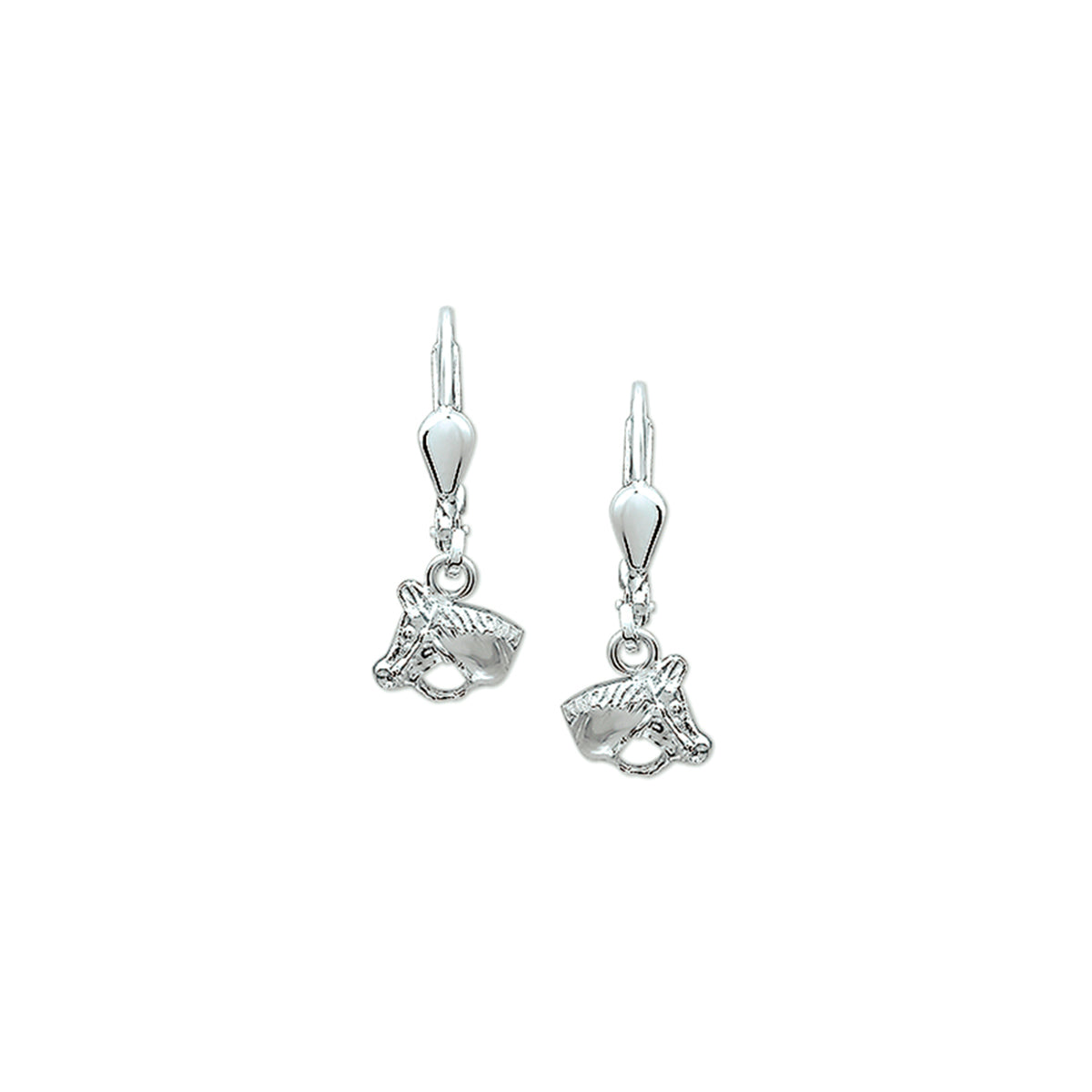 Zilver oorhangers