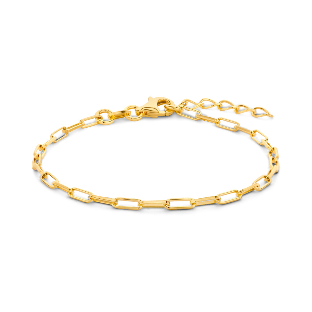 Goud geel op Zilver lengte artikelen (schakel)