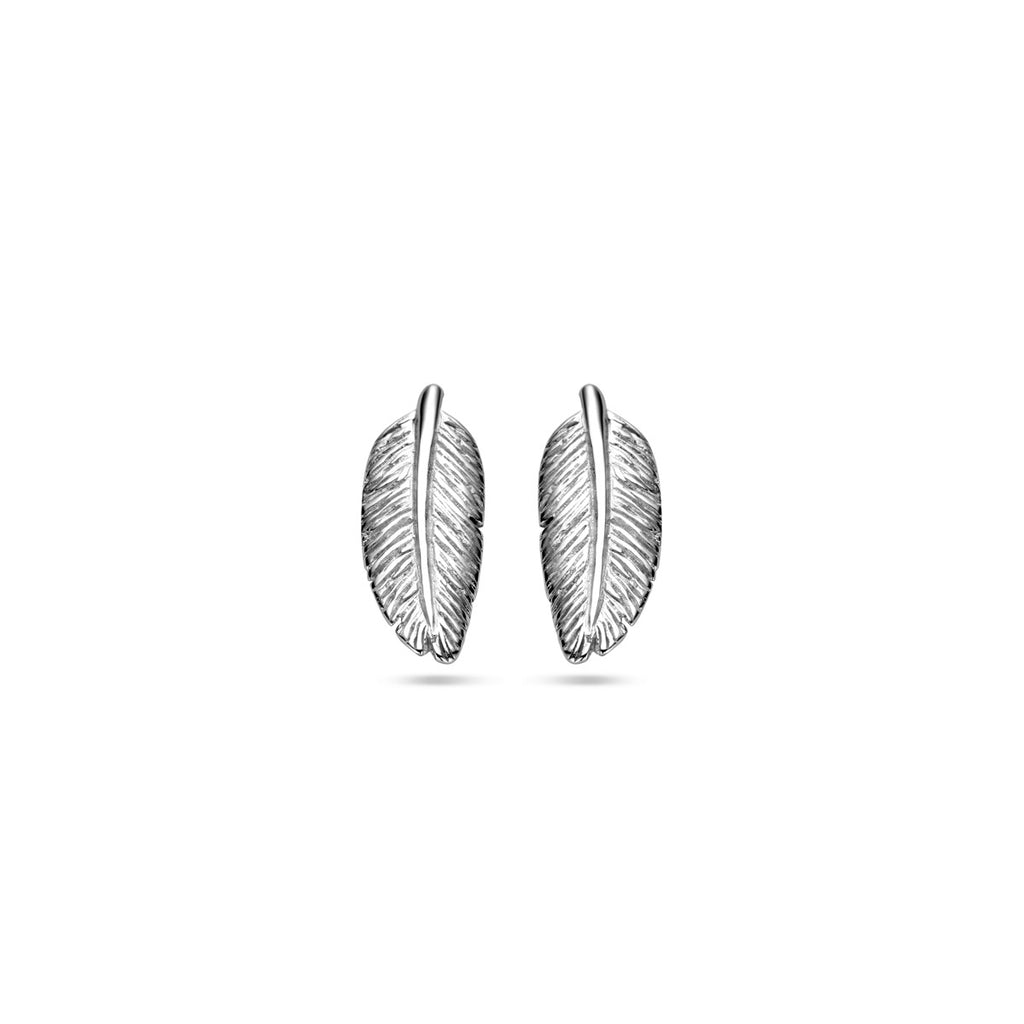 Oorstekers - zilver