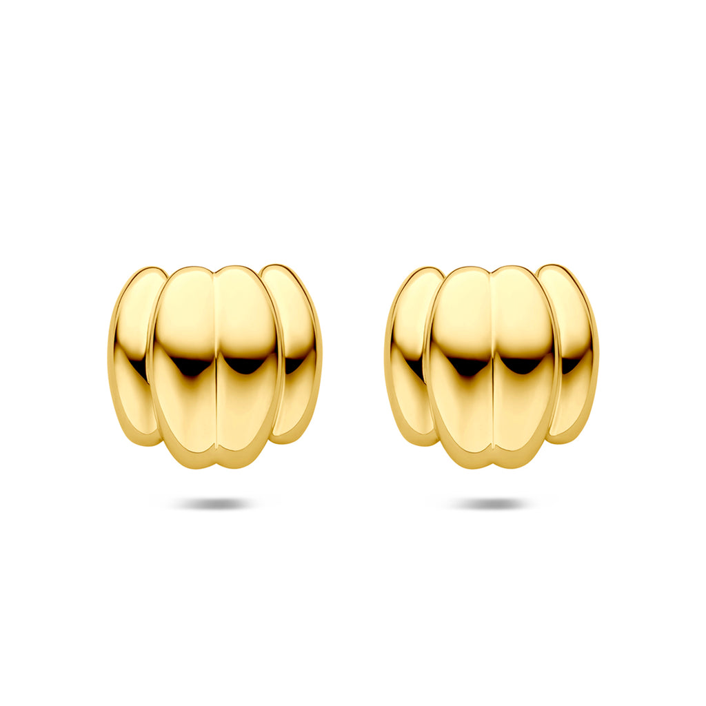 Oorknoppen ion plating 23 mm