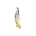 Hanger zirkonia
