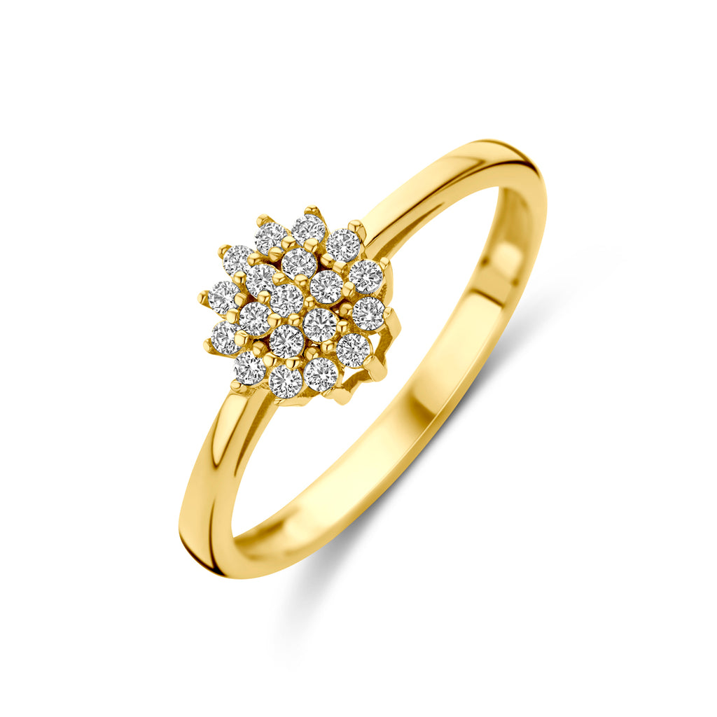 Ring zirkonia