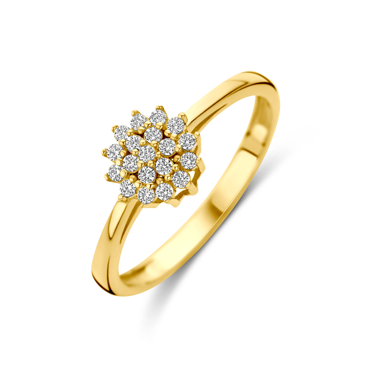 Ring zirkonia