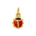 Hanger lieveheersbeestje