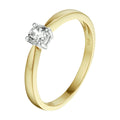 Ring zirkonia
