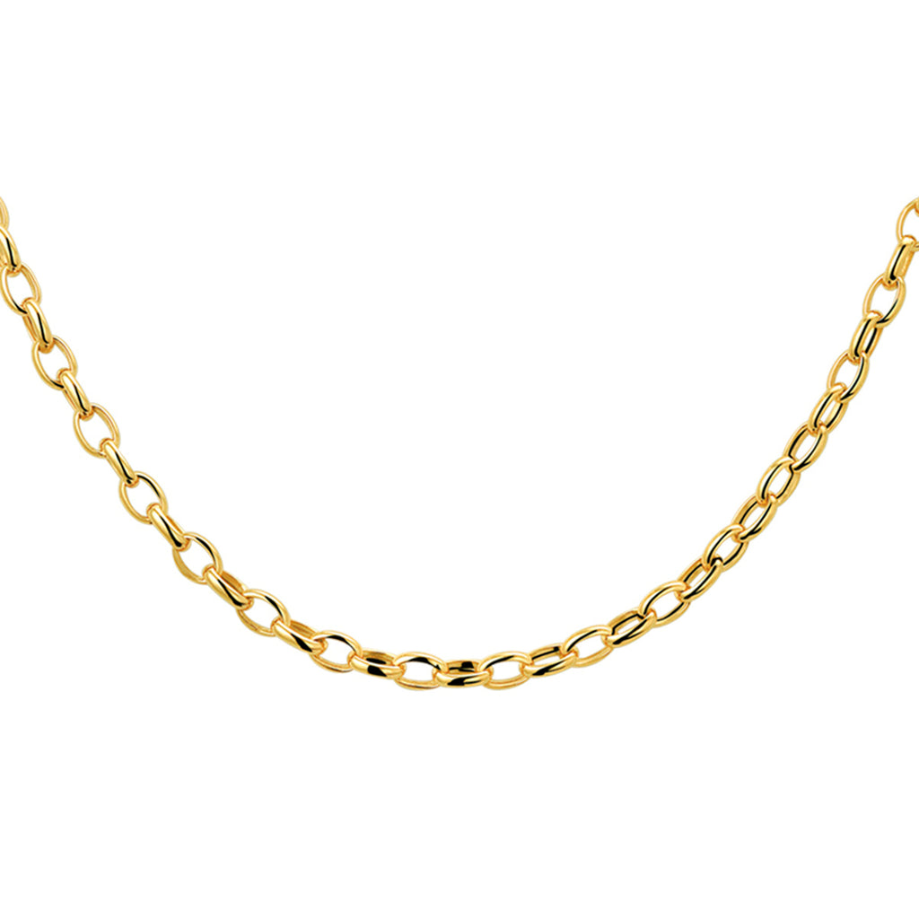 Collier anker 3.1 mm 43 cm