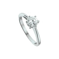 Ring zirkonia