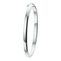 Bangle scharnier 4 mm bolle buis