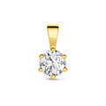 Hanger - goud zirkonia