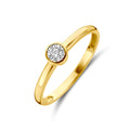 Ring zirkonia