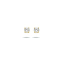 Huiscollectie 14 karaat geelgouden oorknoppen zirkonia. 3 mm.