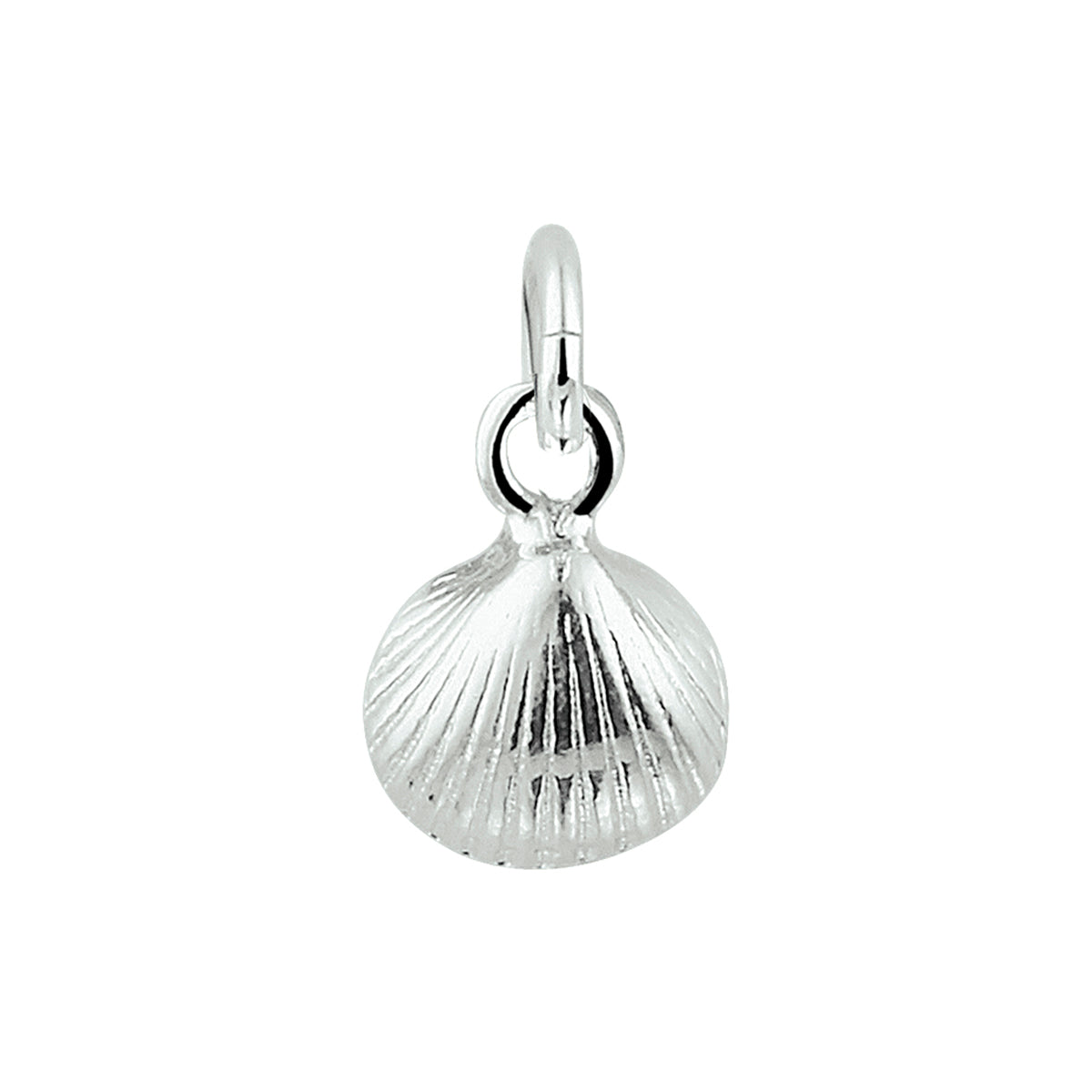 Hanger - zilver schelp