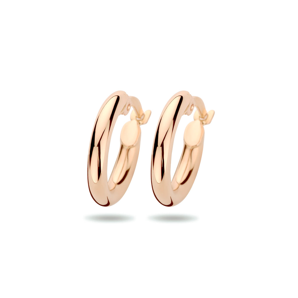Oorringen 2.5 mm ronde buis