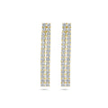 Oorhangers zirkonia
