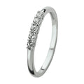 Ring zirkonia