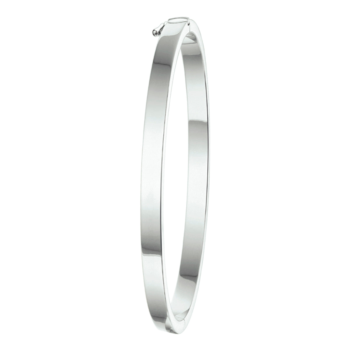 Bangle scharnier 4 mm vlakke buis