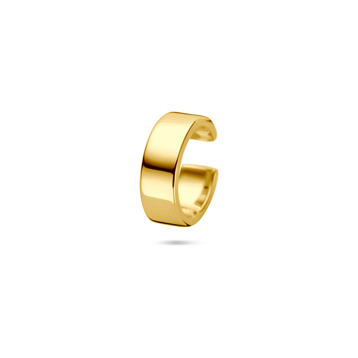 Goud geel op Zilver oorbellen diversen
