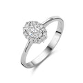 Ring zirkonia halo